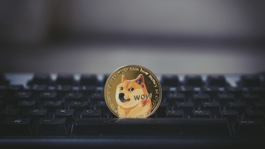 Doge Roulette Games