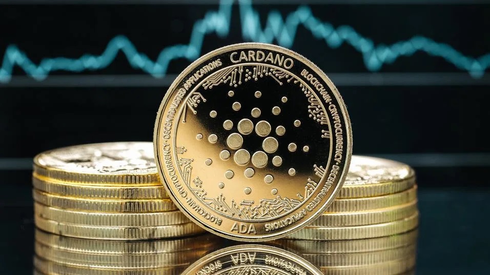 Cardano Gambling