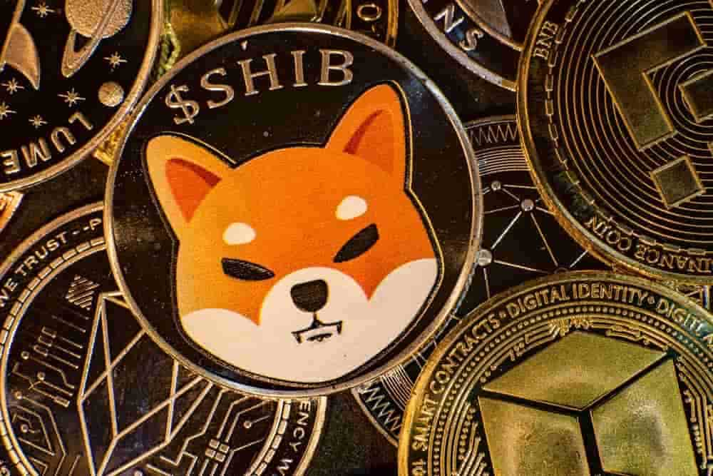 Casino Games to Gamble with Shiba Inu