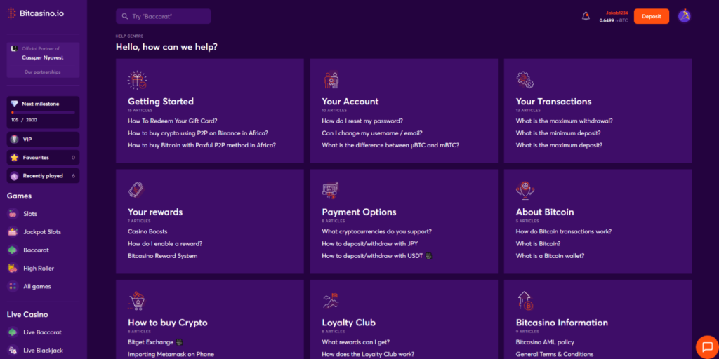 Bitcasino.io 고객 지원